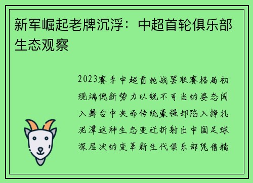 新军崛起老牌沉浮：中超首轮俱乐部生态观察
